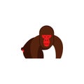 Gorilla, monkey, ape, gorilla icon. Element of color African safari icon. Premium quality graphic design icon. Signs and symbols Royalty Free Stock Photo