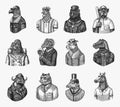 Gorilla monkey astronaut. Eagle aviator pilot Rooster Dinosaur Pig Tiger Bear Sheep Buffalo Bull Horse Cheetah. Dog