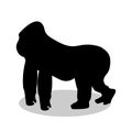 Gorilla monkey primate black silhouette animal Royalty Free Stock Photo