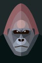 Gorilla portrait