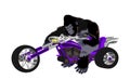 Gorilla on purple bike