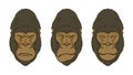 Gorilla's Mimic, Three Portraits Isolated on White. Vector illustration.