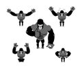 Gorilla set poses. Expression of Emotions monkey. Wild beast an