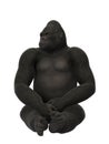 Gorilla sitting, ape isolated on white