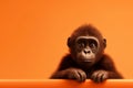 Gorilla sitting on orange background with copy space for text. generative ai