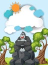 A gorilla sitting on rocks