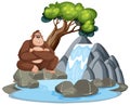 gorilla sitting by a waterfall and rocks