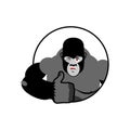 Gorilla thumbs up showing well. Sign all right. Cheerful monkey. Royalty Free Stock Photo