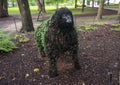 Gorilla topiary on display at the Fort Worth Botanic Garden, Texas.