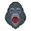 Gorilla. Vector illustration of primates. Evil gorilla head Royalty Free Stock Photo