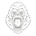 Gorilla. Vector illustration of primates. Sketch of an angry gorilla head