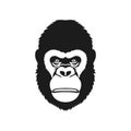 Gorilla face Logo of Monkey animal head Clipart