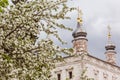 Goritsky monastery, Russia Royalty Free Stock Photo