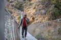 Young shepherd crossing brigde