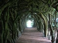 Gormanston's Cloisters