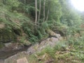 Gornji Milanovac Takovo Serbia mountain Treska mountain stream in the base