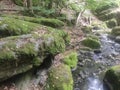 Gornji Milanovac Takovo Serbia mountain Treska mountain stream in the base