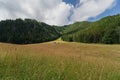 Gorski Kalatowki, foot of a mountain in the Polish Tatras on a summer day. Ski slope with funiculars out of season Royalty Free Stock Photo