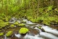 Gorton Creek in the Columbia River Gorge, Oregon, USA Royalty Free Stock Photo