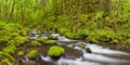 Gorton Creek in the Columbia River Gorge, Oregon, USA Royalty Free Stock Photo