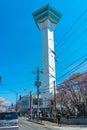 Goryokaku Park Tower in springtime cherry blossom full bloom season