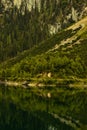 Gosausee mountain reflect on lake