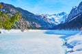 Gosausee with spruce branch, Gosau, Austria