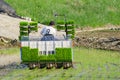 The Korean farmer rides riding type power driven rice transplanter to seedling the green young rice onto the rice paddy field