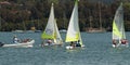 Gosford, Australia - September 27, 2012: Children sailing. Editorial Royalty Free Stock Photo