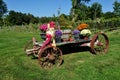 Goshen, CT: Farm Wagon with Fall Flowers