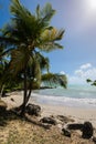 Paradise lagoon beach - the Gosier in Guadeloupe Royalty Free Stock Photo