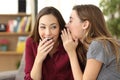 Gossip friend telling a secret