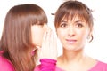Gossipy women Royalty Free Stock Photo