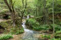 Gostilje waterfalls in Zlatibor Royalty Free Stock Photo