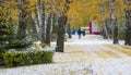 We got our first snow of the season during the night, dusting in the fall with sugar in the winter. Melted where the sun touched, Royalty Free Stock Photo