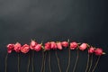 Goth style dry roses, black background