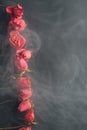 Goth style dry roses, black background with smoke