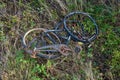 A broken bike found in tall grass..