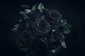 Gothic allure black roses contrast against a dark backdrop