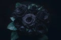 Gothic allure black roses contrast against a dark backdrop