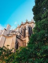 Gothic Cathedral details in Montpellier, France