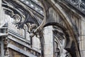 Gothic architecture detail columns perspective