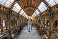 The gothic architecture of the Natural History Museum in London