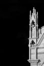 Gothic architecture in Pisa. Santa Maria della Spina gothic church (B W