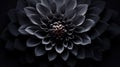 gothic black flower background