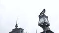 Gothic black raven bird on forged metallic lantern, dramatic dark crow in castle