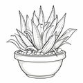 Gothic Black And White Aloe Vera Plant Terrapin Pot Art