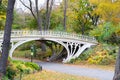 Gothic bridge