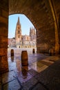 Gothic Cathedral of Burgos at night. Wide-angle photo. Long exposure. Castilla