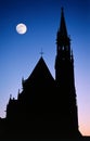 Gothic cathedral moon night